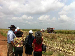 Làm ‘nông dân’, bầu Đức thu về tiền tấn