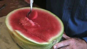 Clip hướng dẫn cách ăn dưa hấu... đúng chuẩn thế giới