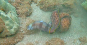 Xe tải gây tai nạn, cô gái bị nghiền nát