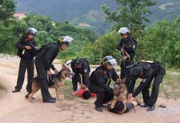 Phó Thủ tướng: Phải triệt phá các băng nhóm tội phạm nguy hiểm