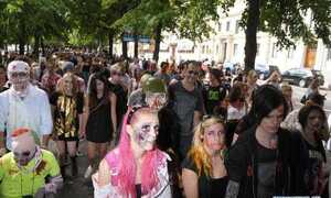 Hài hước cảnh em bé và chó cưng 'tranh luận' kịch liệt