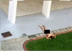 Rơi từ tầng 7, nữ sinh may mắn sống sót