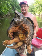 Bắt được 'thủy quái' thời tiền sử kỳ dị