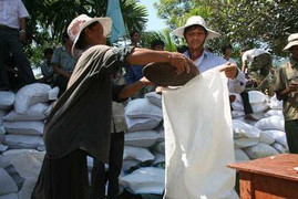 Quảng Ngãi: Cấp 190 tấn gạo để ngăn chặn bệnh 'lạ'