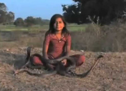 Rợn người clip cô bé 8 tuổi chơi với 6 con rắn hổ mang