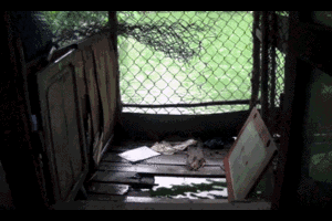 Dân Sài Gòn sống cảnh cầu tõm ngay cạnh giường ngủ