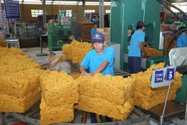 Thuế xuất khẩu một số mặt hàng cao su về 0%