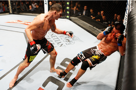 Clip: Cao thủ võ lâm gốc Việt bị hạ đo ván trên võ đài