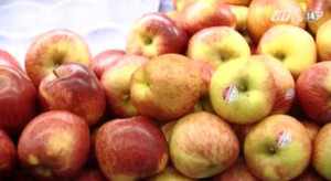 Táo siêu thị có 'đát' vô thời hạn?