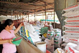 Không áp dụng thuế GTGT đối với thức ăn chăn nuôi