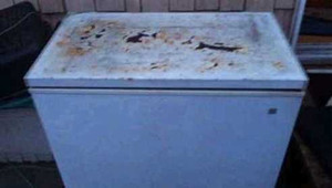 Đau lòng con bị bố mẹ để quên trong tủ lạnh đến chết