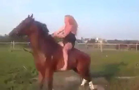 Ngồi trên lưng ngựa 'dội nước đá', thiếu nữ bị ngựa hất văng