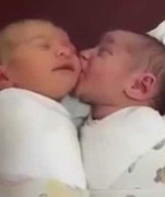 Clip: 2 bé song sinh cạp nhau siêu dễ thương