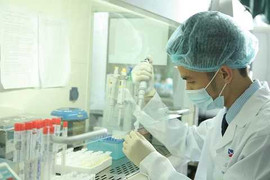 Tưởng đau dạ dày, hóa ra bị viêm tụy