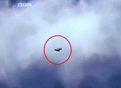 Clip: Đại bàng tung cánh bắt sếu trên trời ngoạn mục