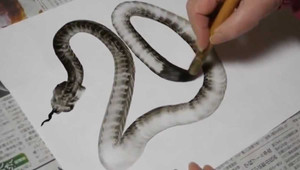 Clip: Nghệ sĩ tài năng vẽ rắn như thật chỉ bằng một nét