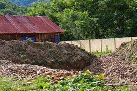 Hiệu trưởng để 'vàng tặc' xới tung sân trường tìm vàng