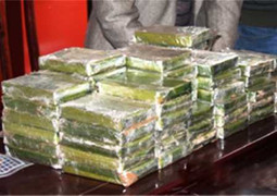 Lạng Sơn: Tàng trữ ma túy ở nhà nghỉ