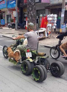 Độc đáo xế độ 9 bánh dạo phố Sài Gòn