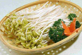 5 lợi ích không ngờ từ giá đỗ