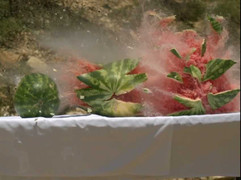 Giọng hát của chàng trai 'cái bang' làm chao đảo dân mạng