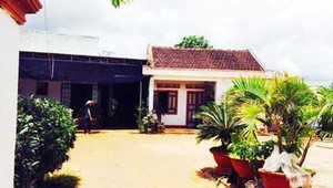 Sự thật cô gái bị bắt cóc, mổ lấy thận trên ôtô