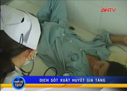 Dịch sốt xuất huyết đe dọa tái bùng phát