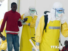 Ý phát triển thành công vắcxin kháng virus Ebola