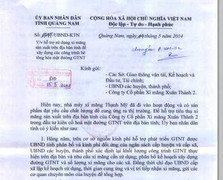 Quảng Nam ra công văn 'động viên' dùng xi măng tỉnh nhà