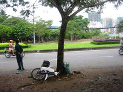 Xe máy đâm gốc cây, 'ma men' nguy kịch