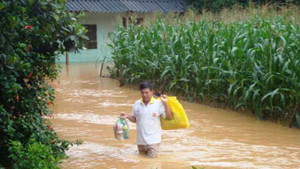 Mưa lớn kéo dài, Bình Phước chìm trong biển nước