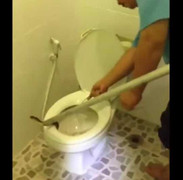 Rợn người moi rắn ra khỏi bồn cầu