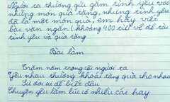 Bài văn ‘Yêu phải chọn đẹp trai, nhà giàu’