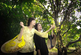 Ảnh: Đẹp mơ màng mùa dâu đất Tây đô