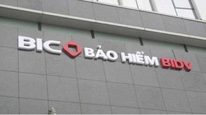 BIC được tổ chức ngoại đánh giá cao