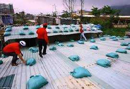 Các biện pháp chằng chống nhà cửa tránh bão khẩn cấp