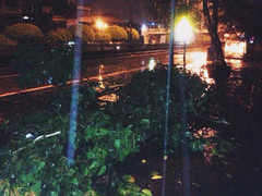 Lý giải vì sao bão số 3 nguy hiểm và có tốc độ kinh hoàng