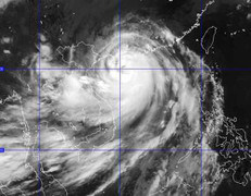 Tin khẩn cấp cơn bão số 3