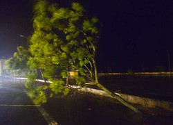 Quảng Ninh: Trời đất quay cuồng, không thể đứng vững trong gió bão