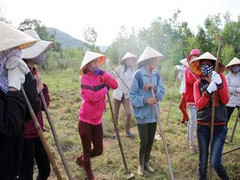 11 khoản tự nguyện: Bé đi khai giảng cũng phải đóng tiền