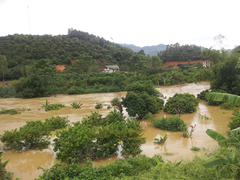 Tổng hợp con số đau thương sau bão số 3