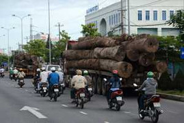 Hai xe chở gỗ quá 250% tải trọng ngang nhiên vi phạm