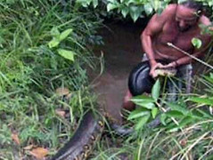 Thót tim xem giáo viên tay không bắt trăn 'khủng'