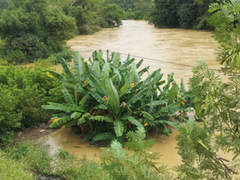Lũ lớn ở Thái Nguyên: Tìm thấy thi thể phụ nữ mất tích
