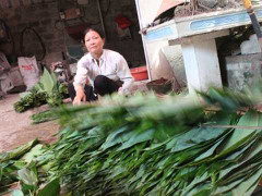 Trở thành tỷ phú nhờ nhặt lá tre