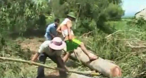 Clip: Lốc xoáy kinh hoàng tốc hàng trăm mái nhà ở Quảng Ngãi