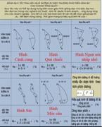 Gửi lá thư thứ 3 lên Thủ tướng, cha đẻ 'đường bay vàng' nói gì?