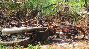 Thực hư tin đồn 'giết người lấy nội tạng' ở Phan Thiết