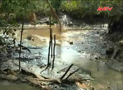 TP.HCM : Thiếu nước, hàng ngàn hộ dân kêu cứu