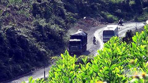 'Tập đoàn hổ vồ' đang xéo nát tuyến đường Vàng Danh